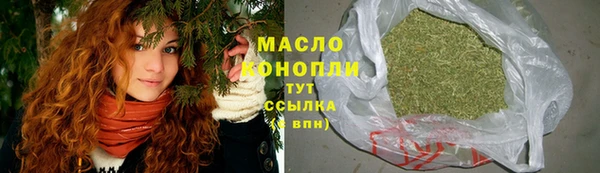 сатива Новодвинск