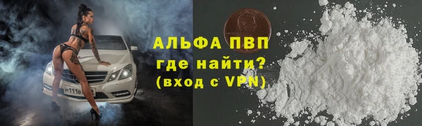 сатива Новодвинск