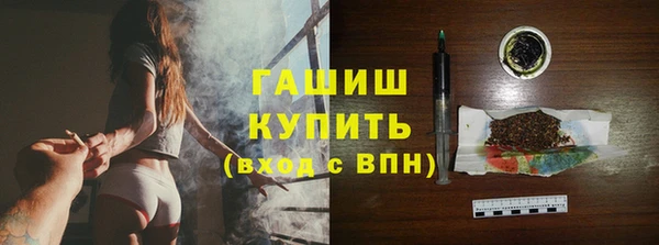 сатива Новодвинск