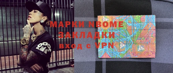 сатива Новодвинск
