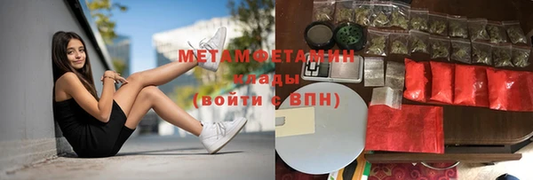 сатива Новодвинск
