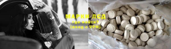 сатива Новодвинск