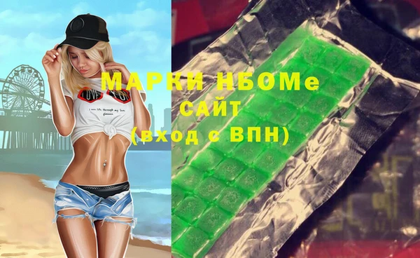 сатива Новодвинск