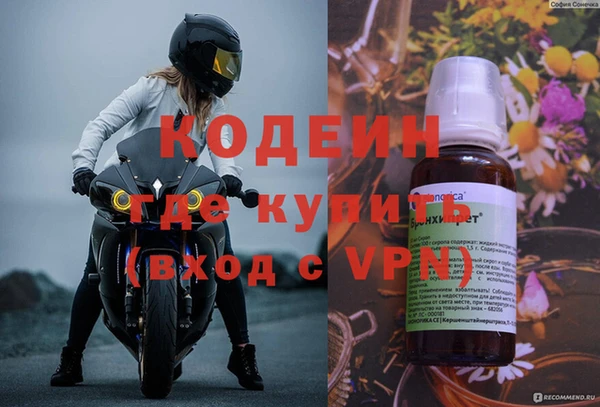 сатива Новодвинск