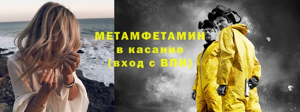 сатива Новодвинск