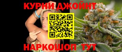 гидра Рязань