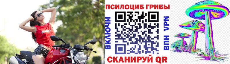 что такое наркотик  Приморско-Ахтарск  Псилоцибиновые грибы GOLDEN TEACHER 