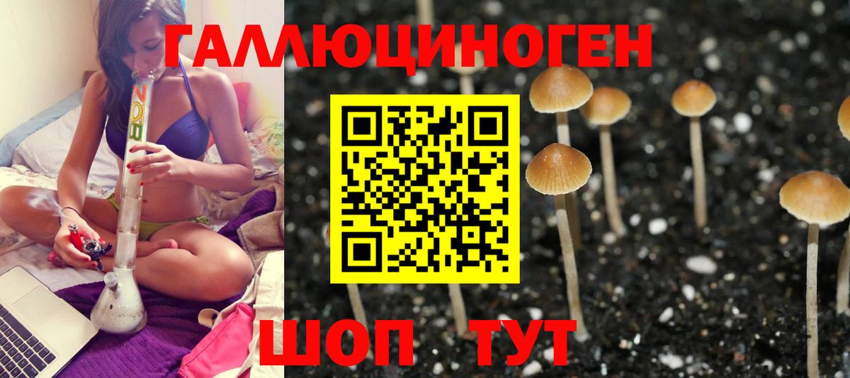 Псилоцибиновые грибы ЛСД Приморско-Ахтарск